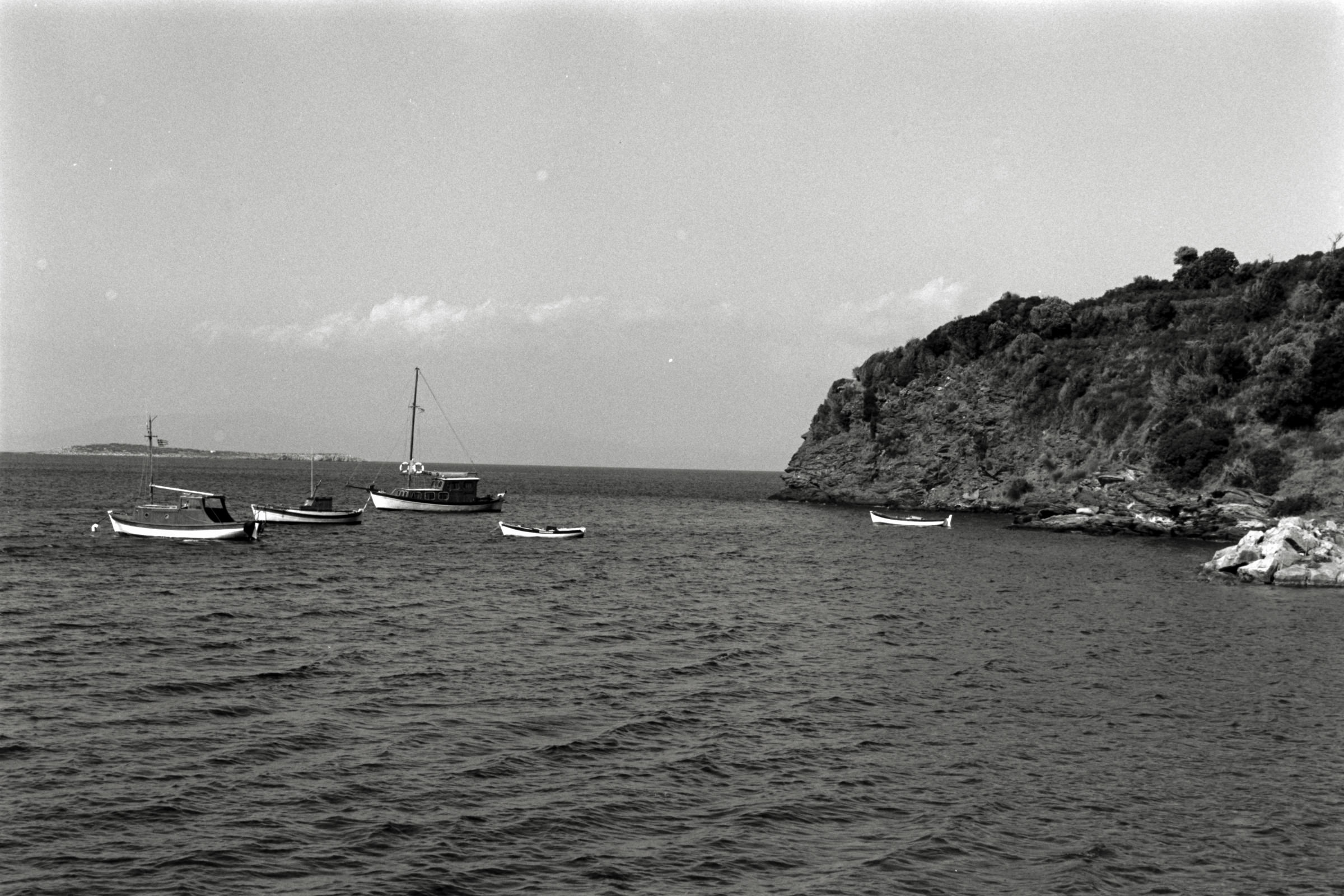 AHP F1991 09 001 sc250507 img24 NLP